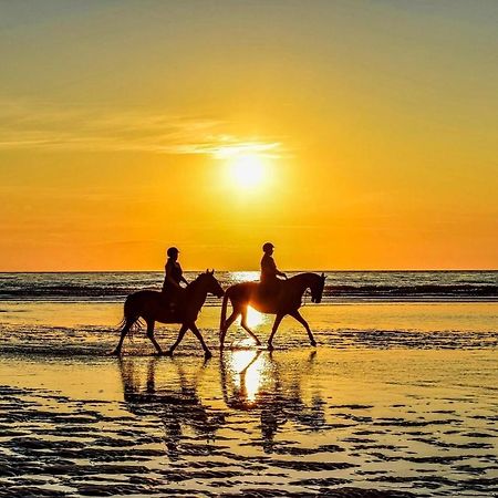 Horizon Bleu Daire Deauville Dış mekan fotoğraf